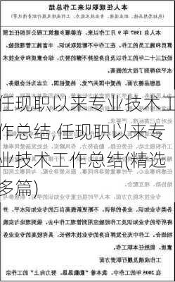 任现职以来专业技术工作总结,任现职以来专业技术工作总结(精选多篇)-第2张图片-星梦范文网