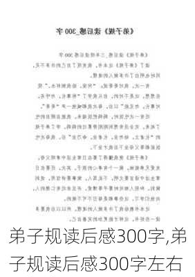 弟子规读后感300字,弟子规读后感300字左右-第3张图片-星梦范文网