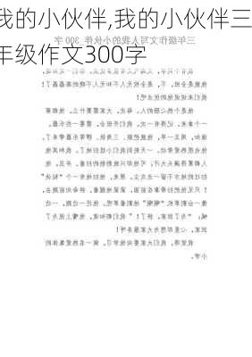 我的小伙伴,我的小伙伴三年级作文300字