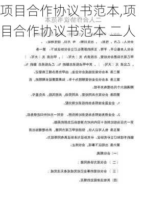 项目合作协议书范本,项目合作协议书范本 二人-第3张图片-星梦范文网