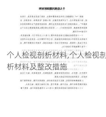 个人检视剖析材料,个人检视剖析材料及整改措施-第3张图片-星梦范文网