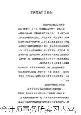 会计师事务所实习内容,