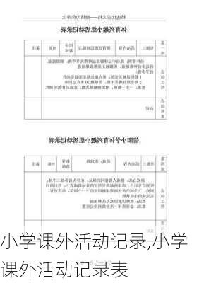 小学课外活动记录,小学课外活动记录表-第2张图片-星梦范文网