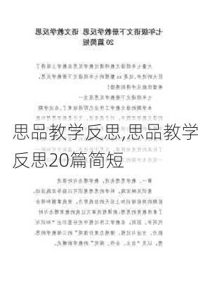 思品教学反思,思品教学反思20篇简短-第2张图片-星梦范文网