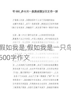 假如我是,假如我是一只鸟500字作文-第3张图片-星梦范文网