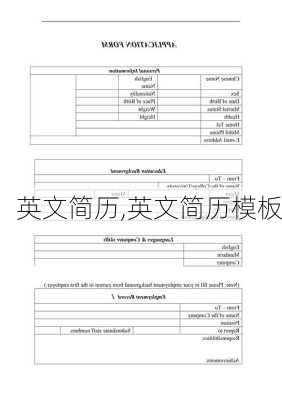 英文简历,英文简历模板-第3张图片-星梦范文网