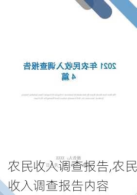 农民收入调查报告,农民收入调查报告内容-第3张图片-星梦范文网