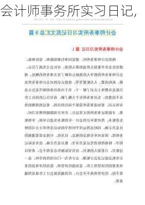 会计师事务所实习日记,