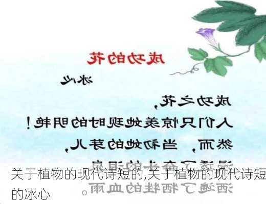 关于植物的现代诗短的,关于植物的现代诗短的冰心-第2张图片-星梦范文网