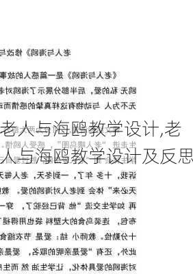 老人与海鸥教学设计,老人与海鸥教学设计及反思