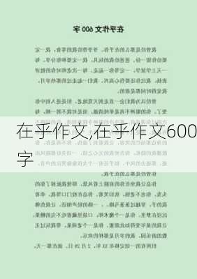 在乎作文,在乎作文600字