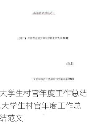 大学生村官年度工作总结,大学生村官年度工作总结范文