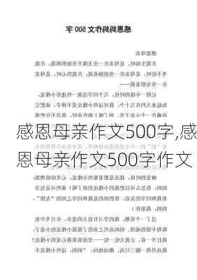 感恩母亲作文500字,感恩母亲作文500字作文-第2张图片-星梦范文网