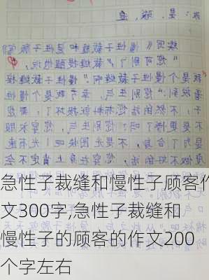 急性子裁缝和慢性子顾客作文300字,急性子裁缝和慢性子的顾客的作文200个字左右-第3张图片-星梦范文网