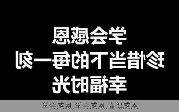 学会感恩,学会感恩,懂得感恩-第3张图片-星梦范文网