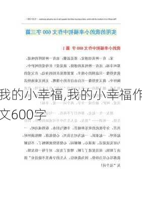 我的小幸福,我的小幸福作文600字-第3张图片-星梦范文网