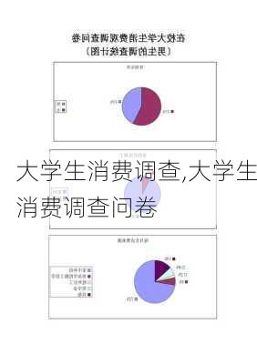 大学生消费调查,大学生消费调查问卷