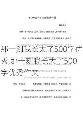 那一刻我长大了500字优秀,那一刻我长大了500字优秀作文-第3张图片-星梦范文网