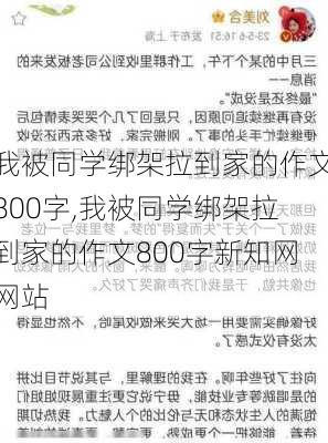 我被同学绑架拉到家的作文800字,我被同学绑架拉到家的作文800字新知网网站-第2张图片-星梦范文网