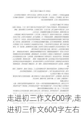 走进初三作文600字,走进初三作文600字左右