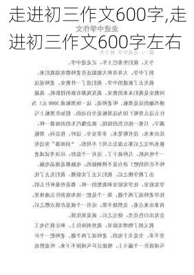 走进初三作文600字,走进初三作文600字左右-第2张图片-星梦范文网