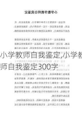 小学教师自我鉴定,小学教师自我鉴定300字