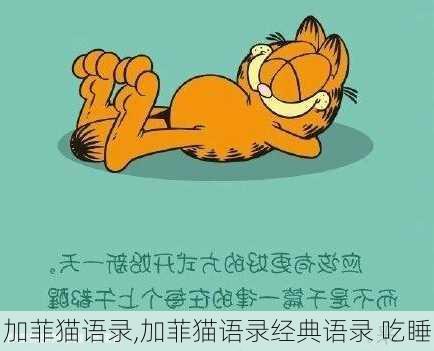 加菲猫语录,加菲猫语录经典语录 吃睡