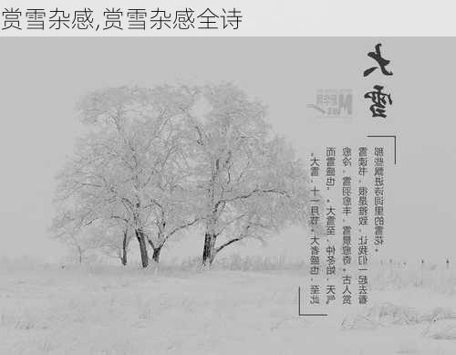 赏雪杂感,赏雪杂感全诗