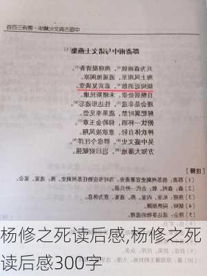 杨修之死读后感,杨修之死读后感300字-第3张图片-星梦范文网