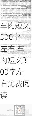 车肉短文300字左右,车肉短文300字左右免费阅读