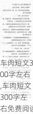 车肉短文300字左右,车肉短文300字左右免费阅读-第3张图片-星梦范文网