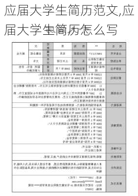 应届大学生简历范文,应届大学生简历怎么写-第2张图片-星梦范文网