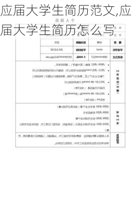 应届大学生简历范文,应届大学生简历怎么写-第3张图片-星梦范文网