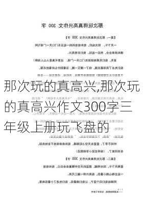 那次玩的真高兴,那次玩的真高兴作文300字三年级上册玩飞盘的