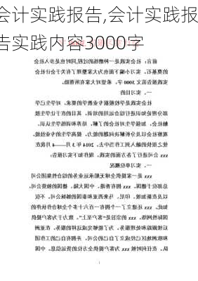 会计实践报告,会计实践报告实践内容3000字-第2张图片-星梦范文网