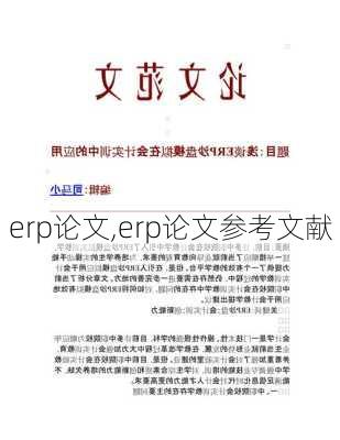 erp论文,erp论文参考文献-第2张图片-星梦范文网