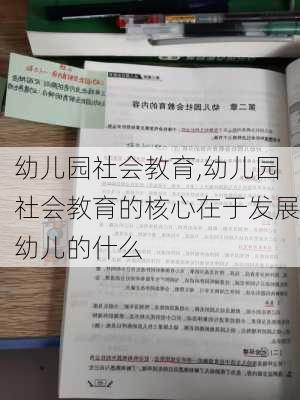 幼儿园社会教育,幼儿园社会教育的核心在于发展幼儿的什么