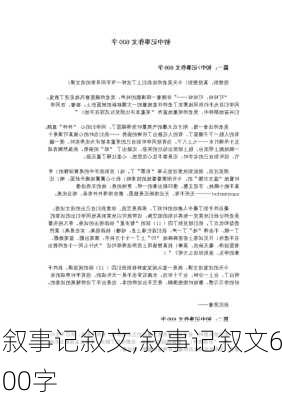 叙事记叙文,叙事记叙文600字-第2张图片-星梦范文网