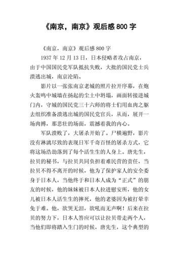 南京南京影评,南京南京影评800字