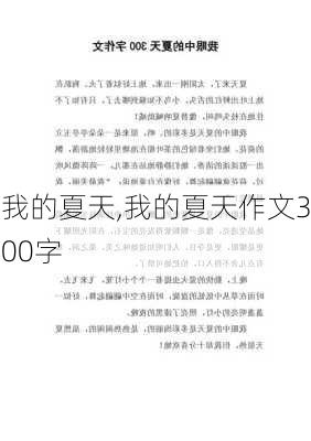 我的夏天,我的夏天作文300字