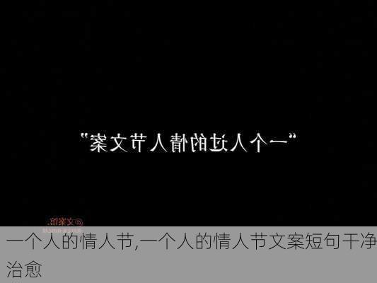 一个人的情人节,一个人的情人节文案短句干净治愈