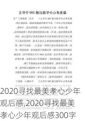 2020寻找最美孝心少年观后感,2020寻找最美孝心少年观后感300字-第3张图片-星梦范文网