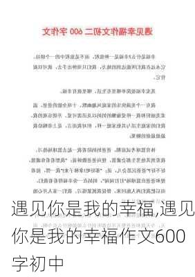 遇见你是我的幸福,遇见你是我的幸福作文600字初中-第3张图片-星梦范文网