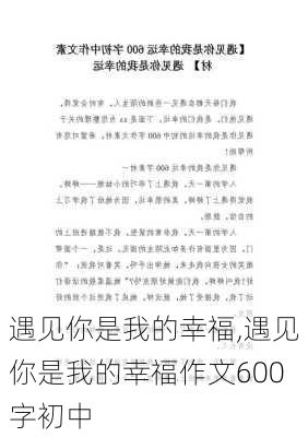 遇见你是我的幸福,遇见你是我的幸福作文600字初中-第2张图片-星梦范文网