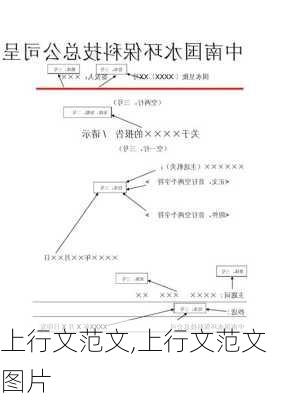 上行文范文,上行文范文图片-第3张图片-星梦范文网