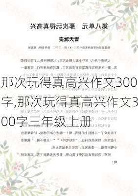 那次玩得真高兴作文300字,那次玩得真高兴作文300字三年级上册-第2张图片-星梦范文网