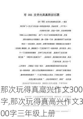 那次玩得真高兴作文300字,那次玩得真高兴作文300字三年级上册