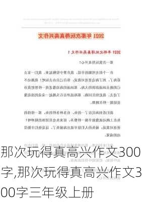 那次玩得真高兴作文300字,那次玩得真高兴作文300字三年级上册-第3张图片-星梦范文网