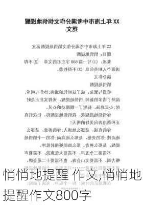 悄悄地提醒 作文,悄悄地提醒作文800字-第2张图片-星梦范文网