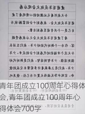 青年团成立100周年心得体会,青年团成立100周年心得体会700字-第2张图片-星梦范文网